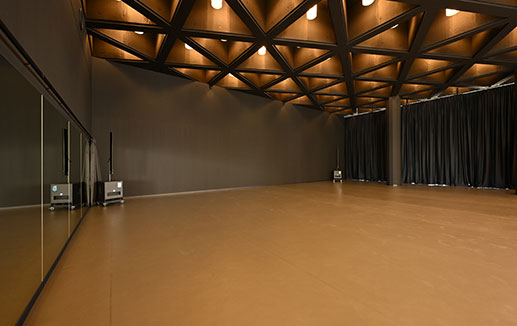 STAGE-T