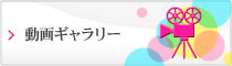 動画ギャラリー