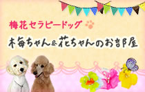 セラピードッグ「梅ちゃん」「花ちゃん」のお部屋