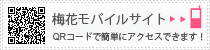 梅花の携帯サイト http://www.baika.ac.jp/i/