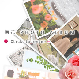 梅花 PHOTO ALBUM