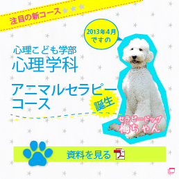 2013年4月 心理学科にアニマルセラピーコース誕生