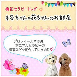 セラピードッグ「梅ちゃん」「花ちゃん」のお部屋