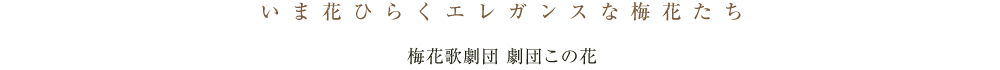 いま花ひらくエレガンスな梅花たち　梅花歌劇団　劇団この花