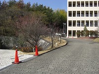 2-3